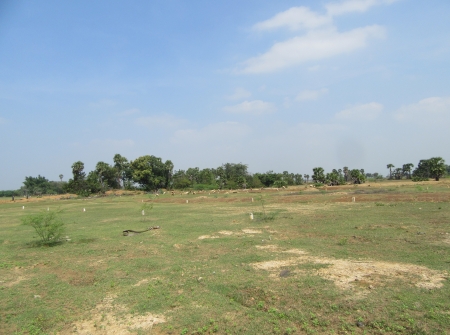 1) Land for Investment Near IISER College, Yerpedu - Venkatagiri Road.JPG